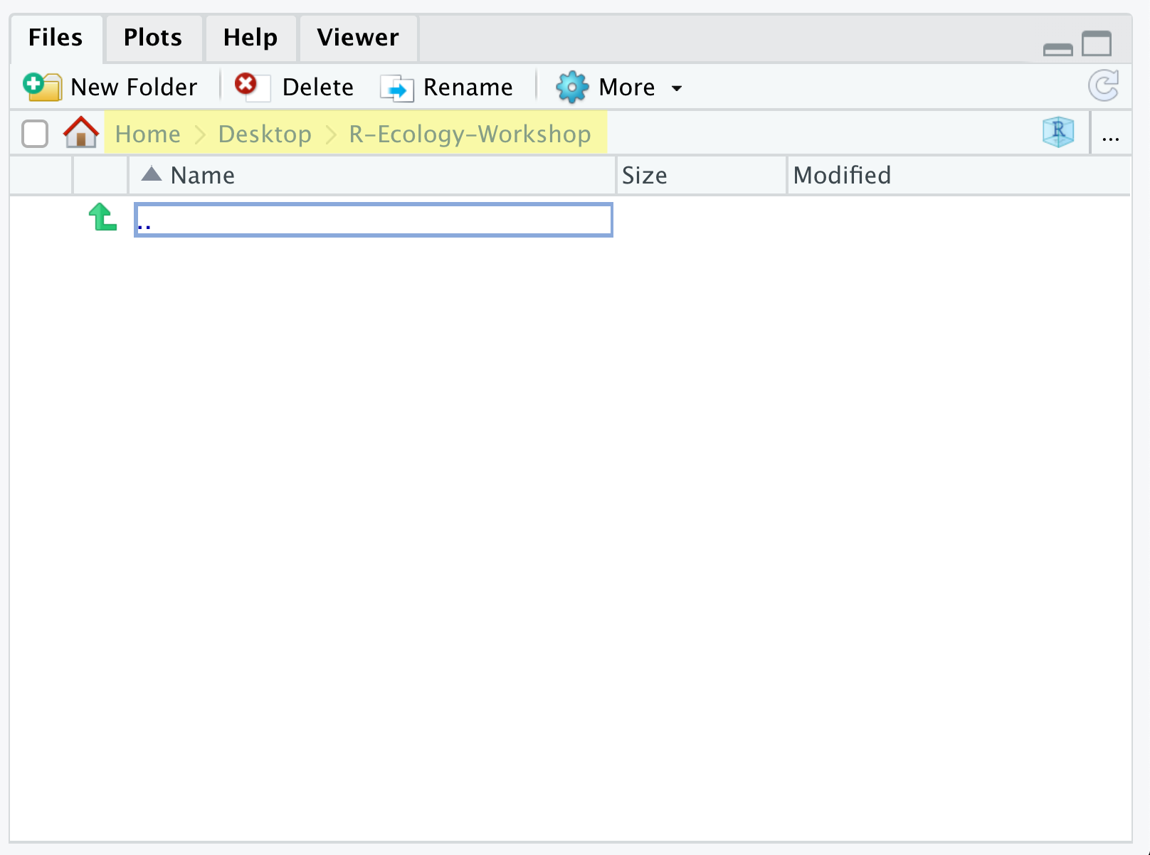 RStudio Files pane with current directory path highlighted.